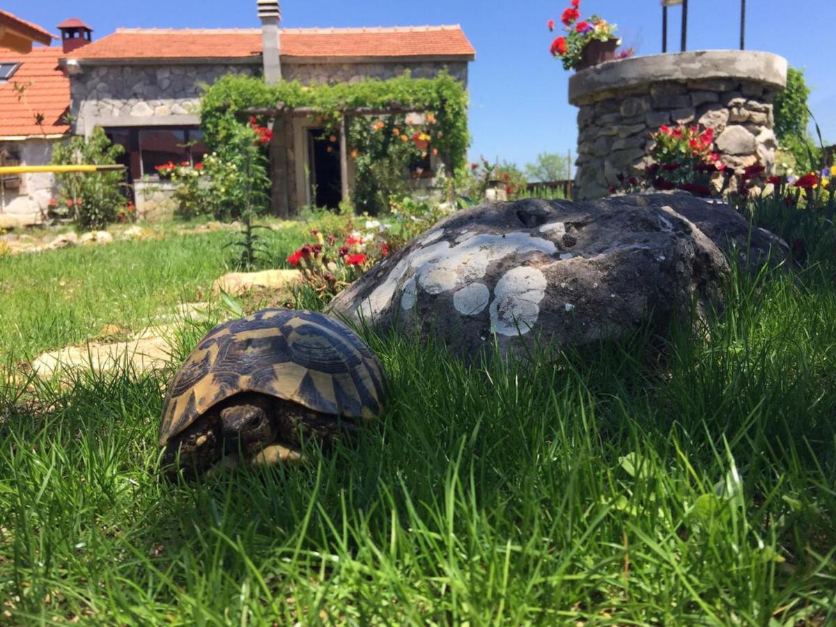 Kuca Za Odmor Joko I Jeka Bogatić Exterior foto