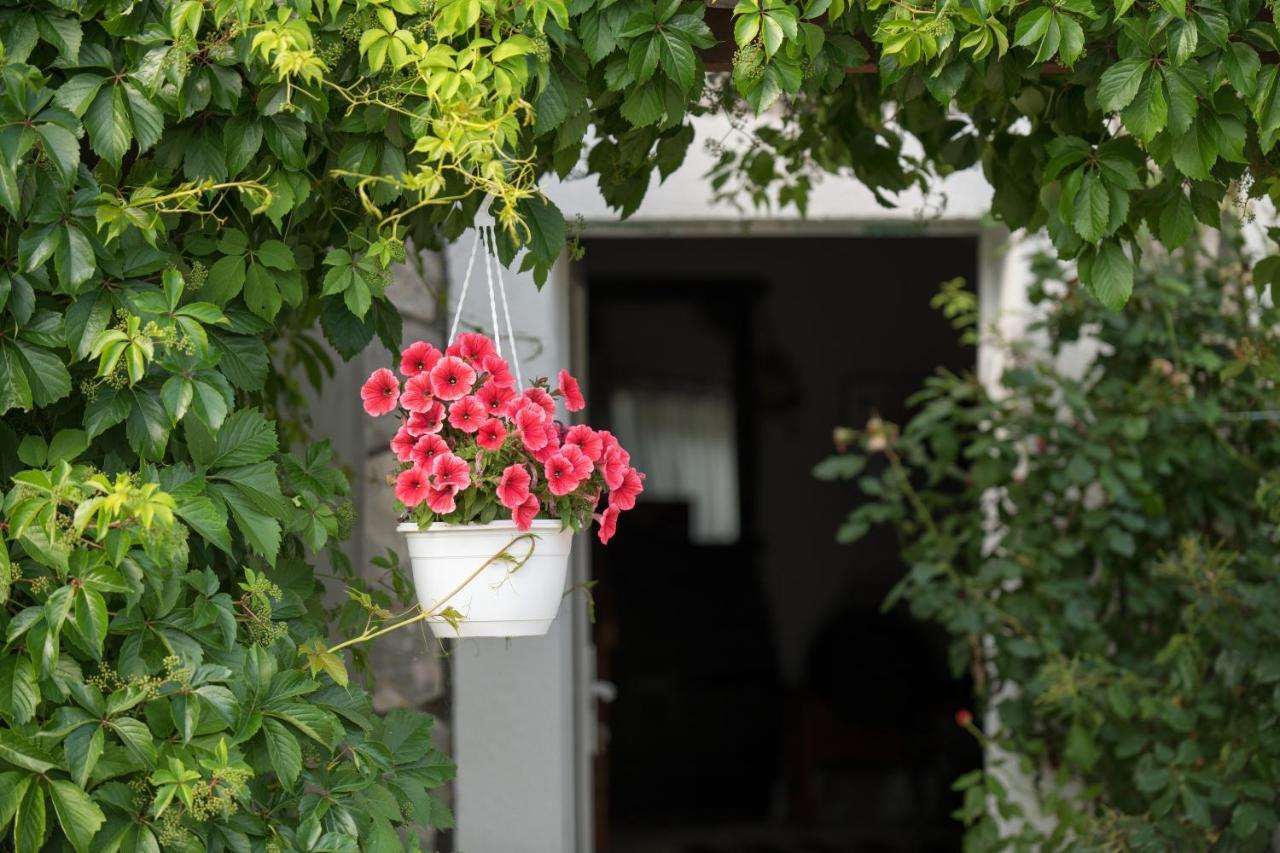 Kuca Za Odmor Joko I Jeka Bogatić Exterior foto