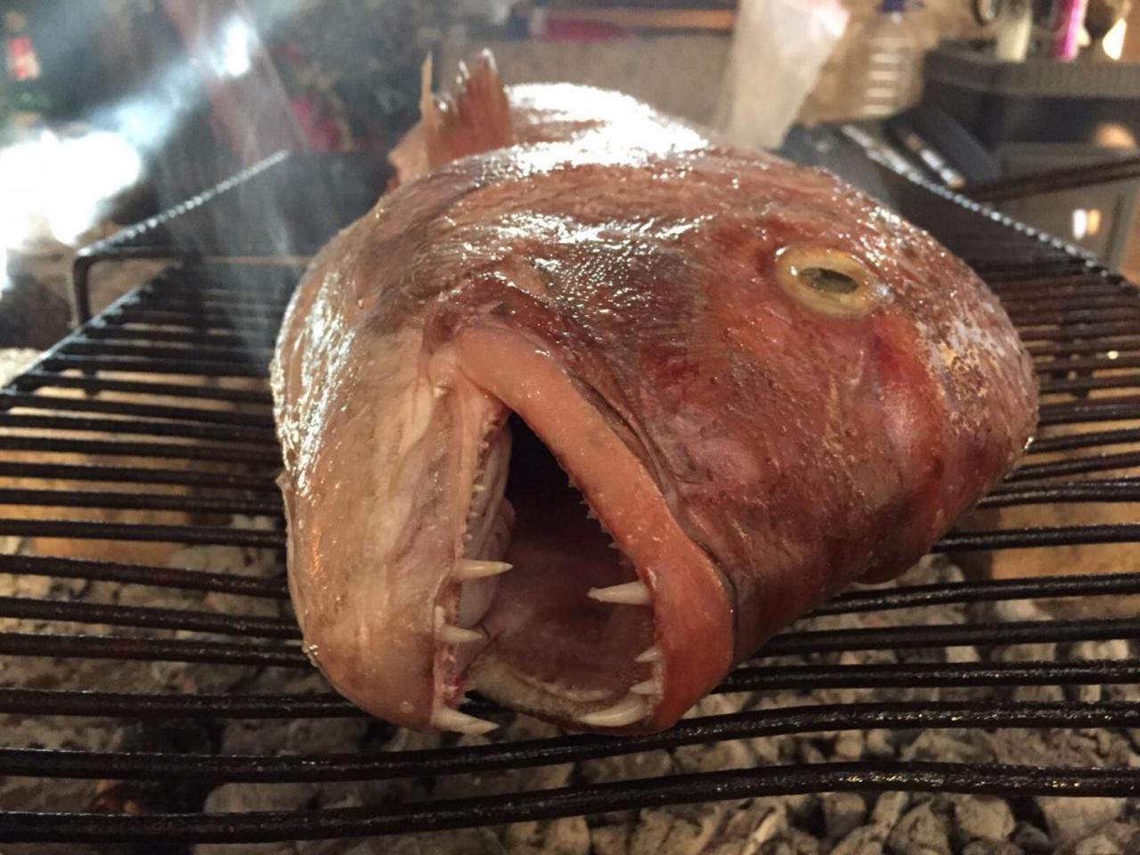Kuca Za Odmor Joko I Jeka Bogatić Exterior foto